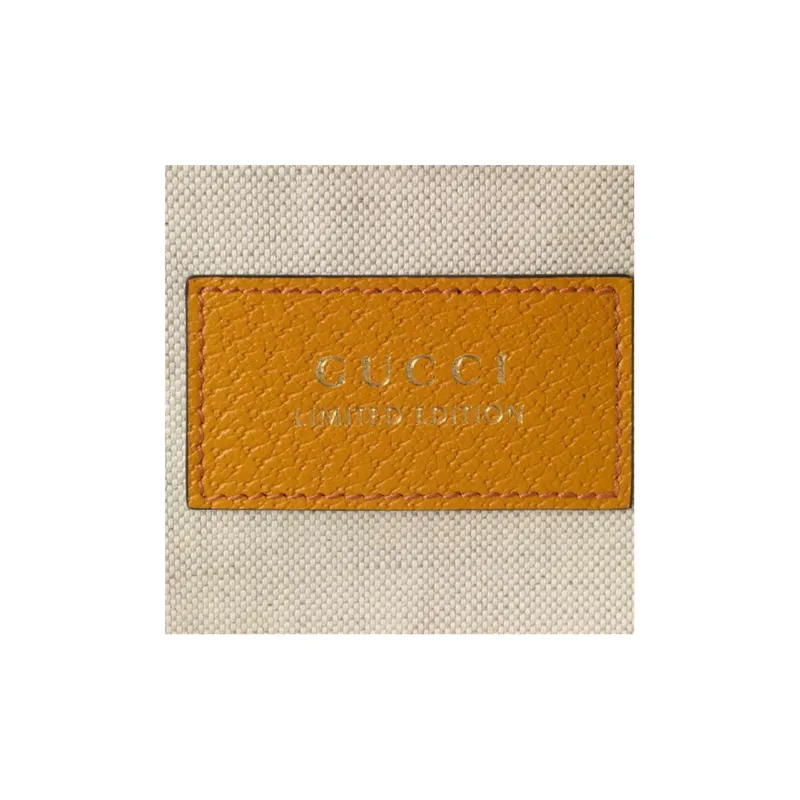 GUCCI Canvas With Leather Fanny Pack Sling Bags Small Size Unisex Ebony/Brown-6