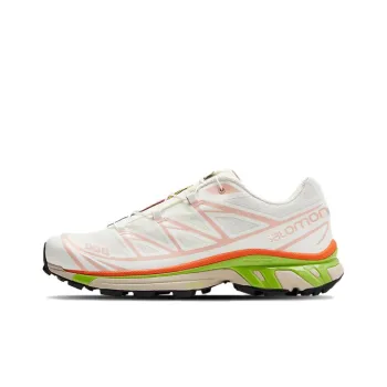 SALOMON Xt 6 'Vanilla White Pink Green'
