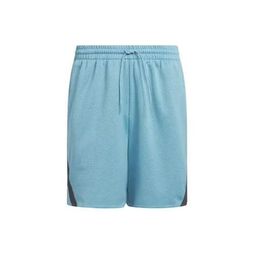 Adidas Casual Shorts Men Blue