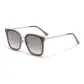 Brown Gray Lens