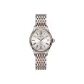 Silver Dial