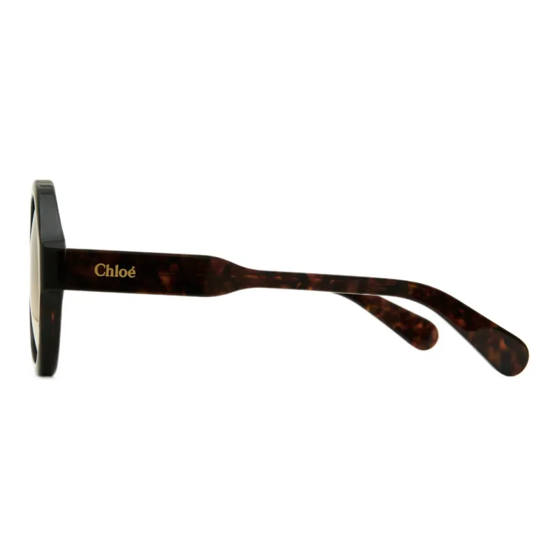 Chloé Sunglasses Unisex Tortoiseshell-1
