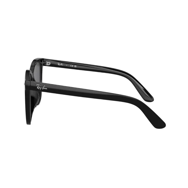 RayBan Square Frame Sunglasses-4