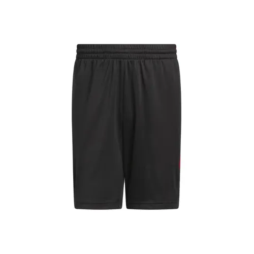 adidas Men Basketball shorts