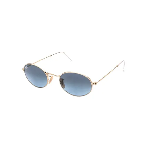 RayBan Oval Frame Sunglasses
