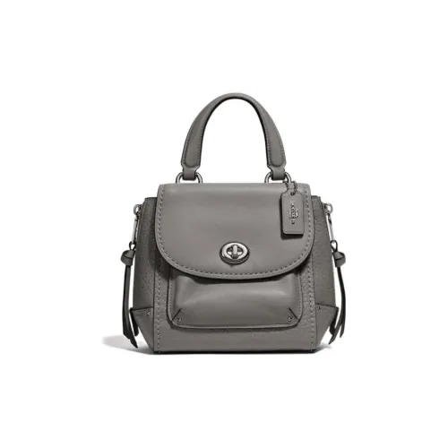 COACH Backpack Leather Suede Bonded Backpack Small Size Women's Silver Gray