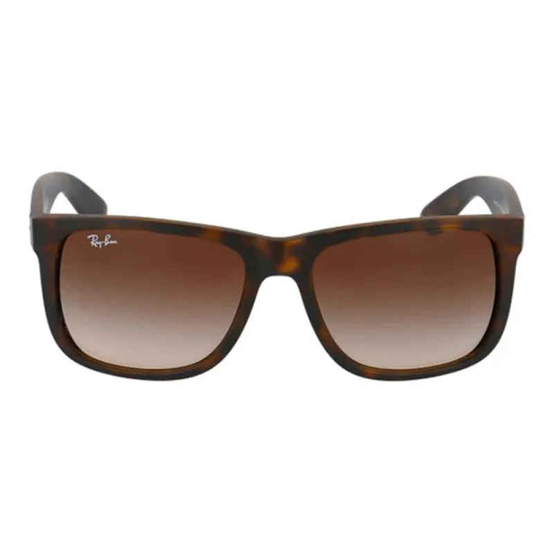 RayBan Justin Classic Sunglasses-1