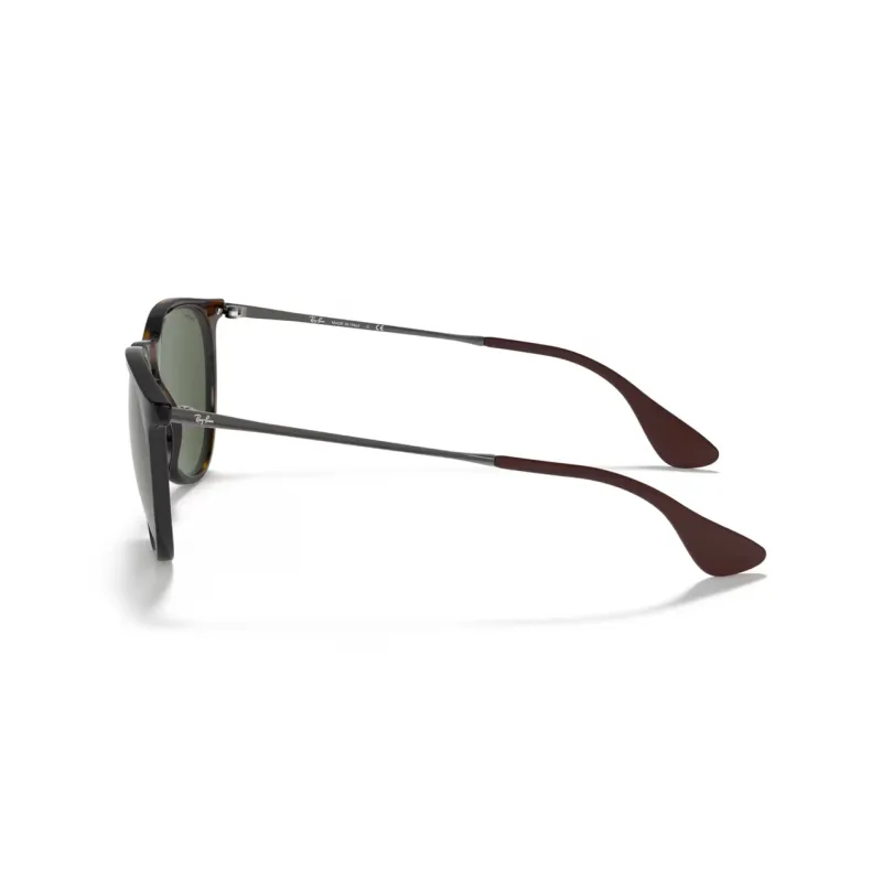 RayBan Erika Round Sunglasses-2