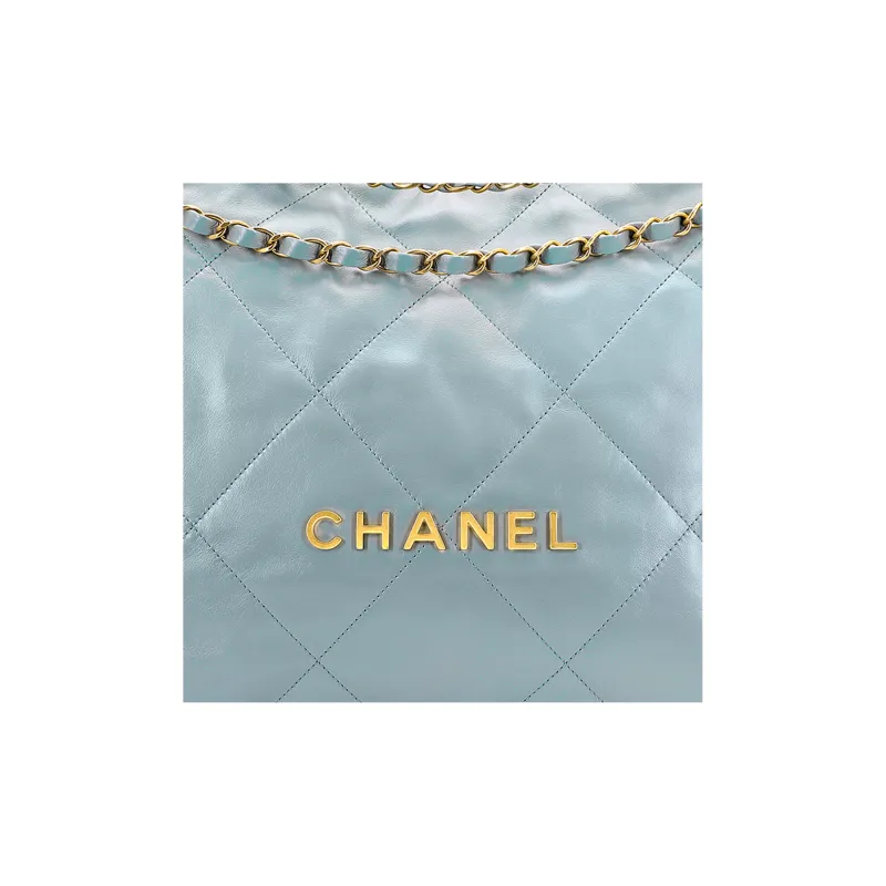 CHANEL 23C Early Spring Shoulder Bags-2