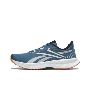 Floatride Energy 5 Reebok 'Steely Blue'