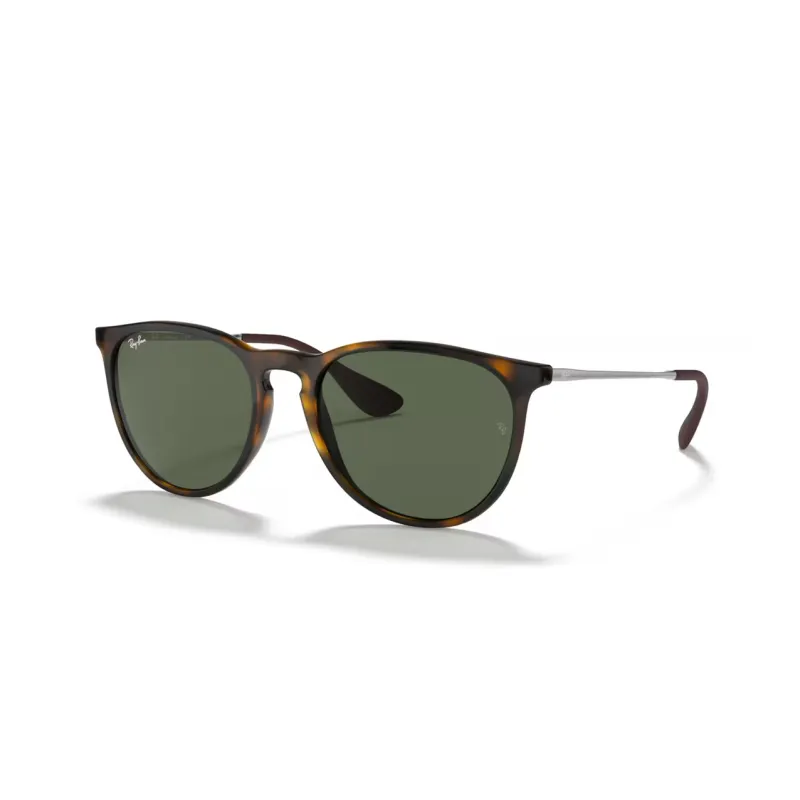 RayBan Erika Round Sunglasses-0