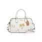 Bag+Dust Bag
