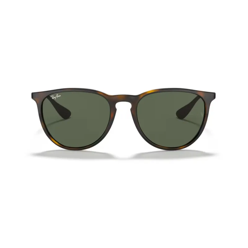 RayBan Erika Round Sunglasses-1