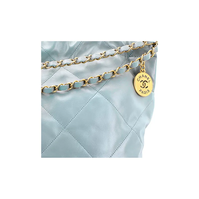 CHANEL 23C Early Spring Shoulder Bags-3