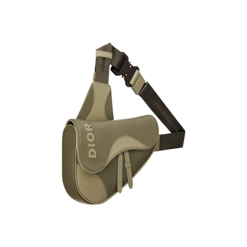 DIOR Saddle Handbags-1