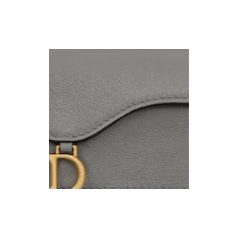 DIOR Saddle Goatskin Flap Card Holder Wallet Women's Gray-4