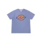 Gray Purple