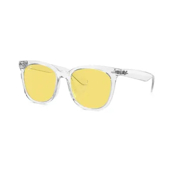 RayBan Sunglasses Unisex