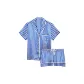 Blue Stripes