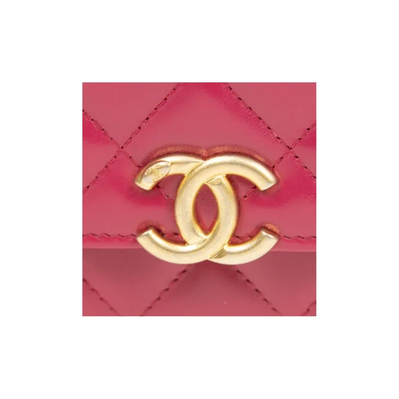 CHANEL WOC Calfskin & Metal Coin Purse Crossbody Bag Women's Pink-4