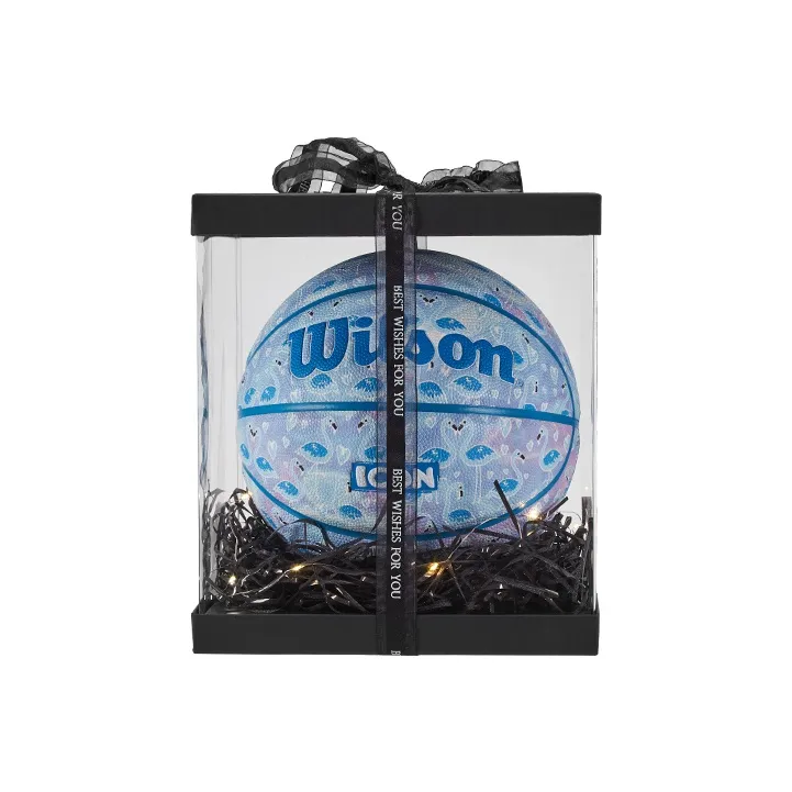 Wilson ICON Series Basketball-1