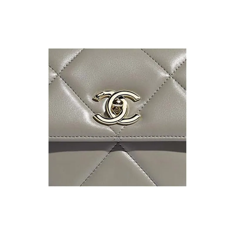 CHANEL Trendy Cc Sheepskin Shoulder Bag, Crossbody Bag, Handbag Women's Gray-3