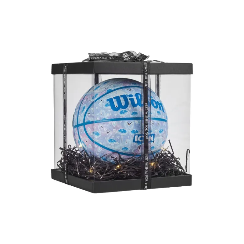 Wilson ICON Series Basketball-2