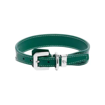 GOYARD Goyardine Canvas With Clamecy Cow Leather Dog's Teeth Collar Bag Accessory Unisex Green