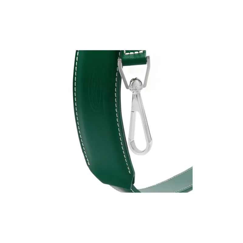 GOYARD Cow Leather Dog's Teeth Bag Straps Medium Size Unisex Green-2