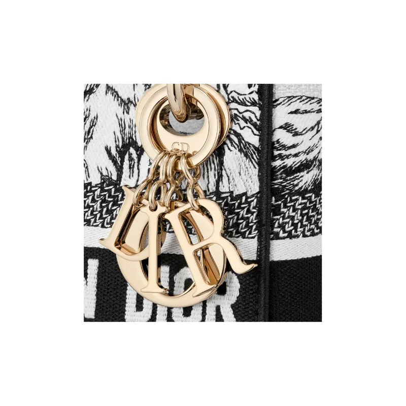 DIOR Lady D-Lite Handbags-5
