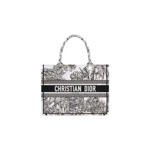 DIOR BookTote Handbags