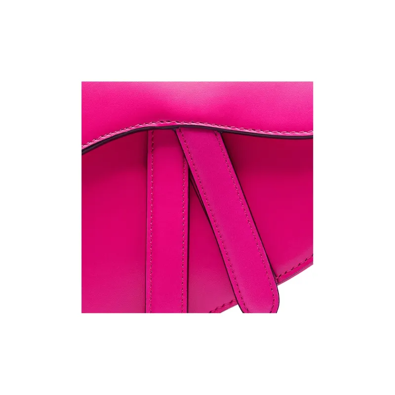 DIOR Saddle Handbags-5