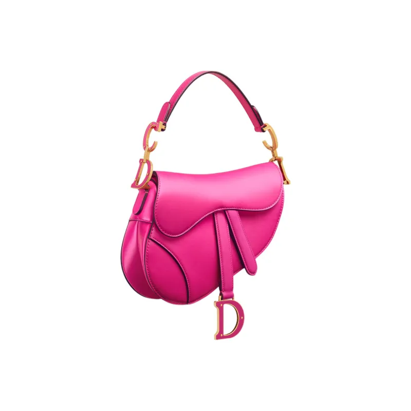 DIOR Saddle Handbags-1