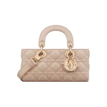 DIOR Lady D Joy Handbags