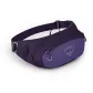 Dream Purple Dream Purple