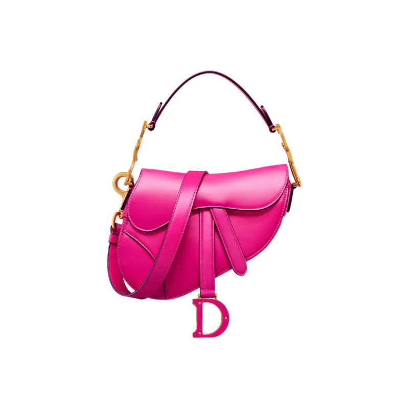 DIOR Saddle Handbags-0