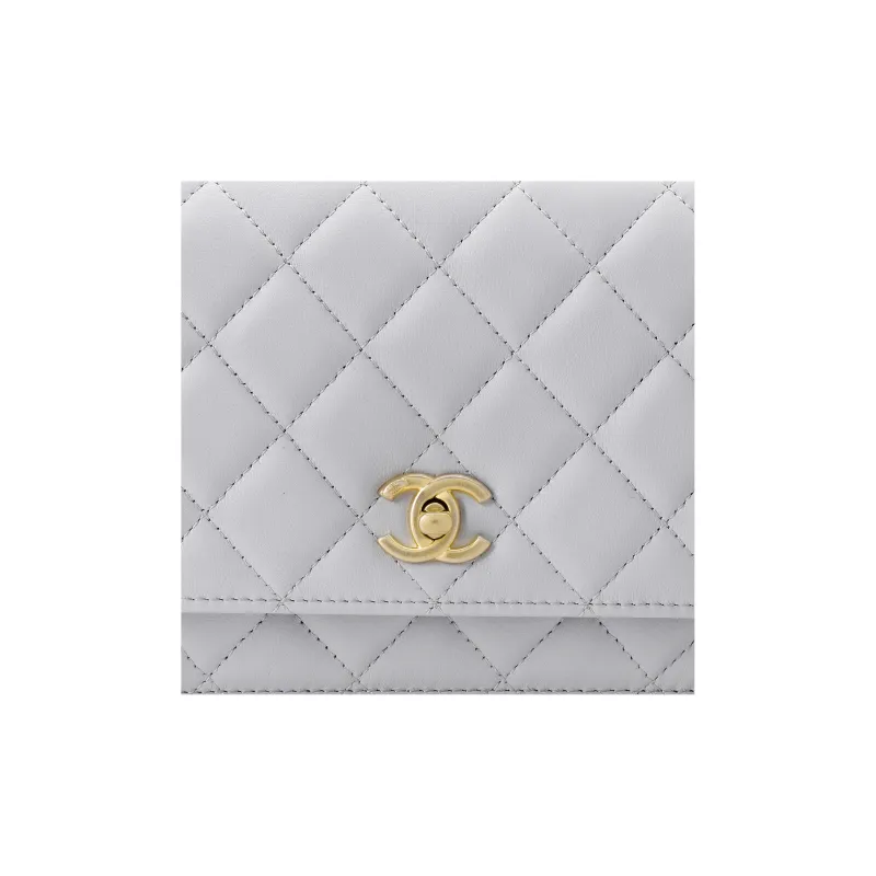 CHANEL Pearl Crush Adjustable Strap Woc Light Grey AP1450-4