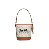 Bag+Dust Bag