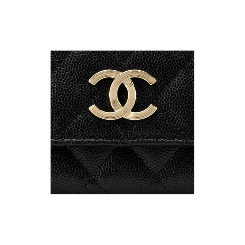 CHANEL 23P SS Cow Leather Coin Purses Card Holders Unisex Black-3