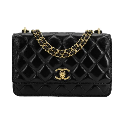 CHANEL 23C Early Spring Crossbody Bags