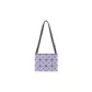 Bag+Dust Bag