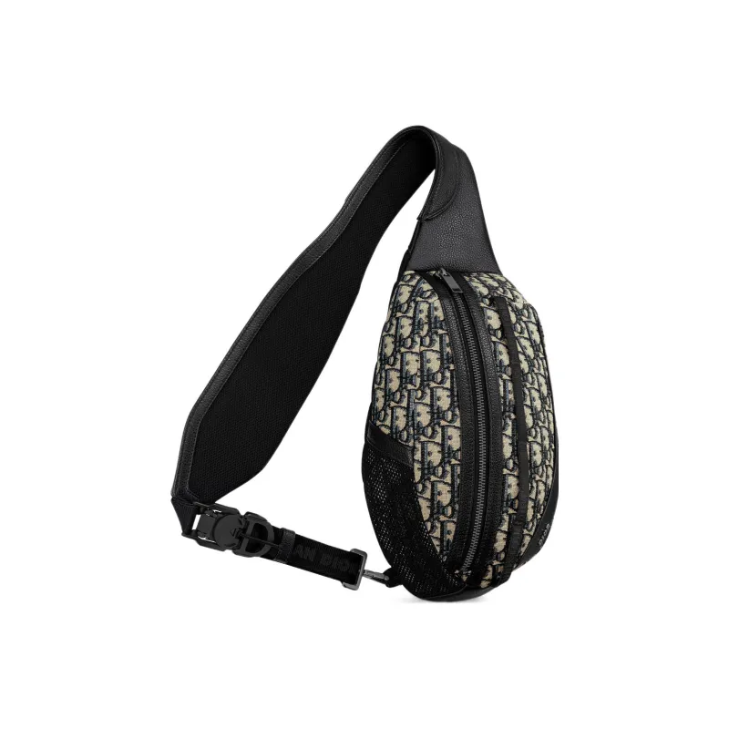 DIOR Scarab Grained Calfskin Shoulder Bag Men's-1