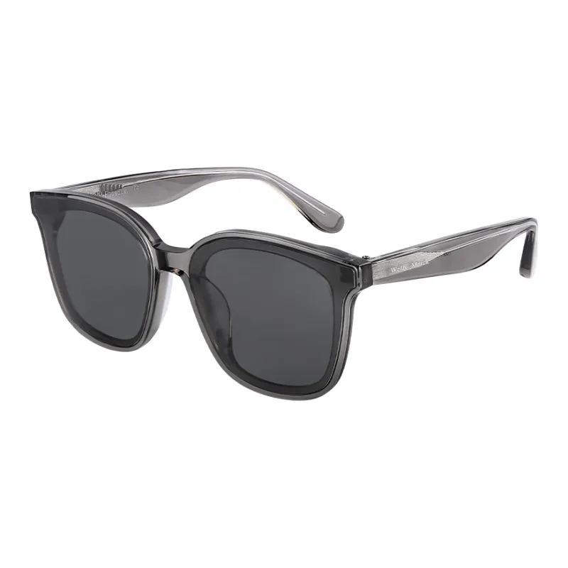 Welly Merck Sunglasses Unisex-9
