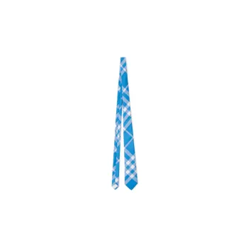 Burberry Ties Men
