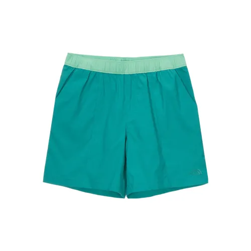 THE NORTH FACE Casual Shorts Men Blue/Green