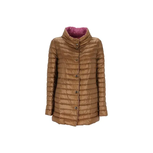 HERNO Down Jackets Women's Light Brown