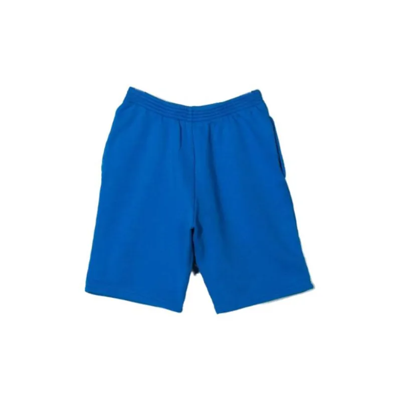 Balenciaga SS23 Casual Shorts Loose Fit Style Men's Blue-1
