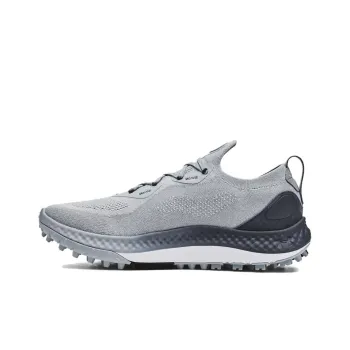 Under Armour Charged Curry 'Harbor Blue Downpour Grey'