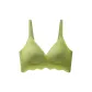 Avocado Green