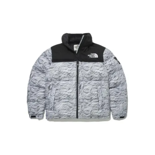 THE NORTH FACE Down Jackets Unisex Silver